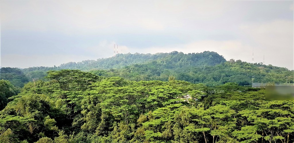 Foresque Residences thumbnail photo